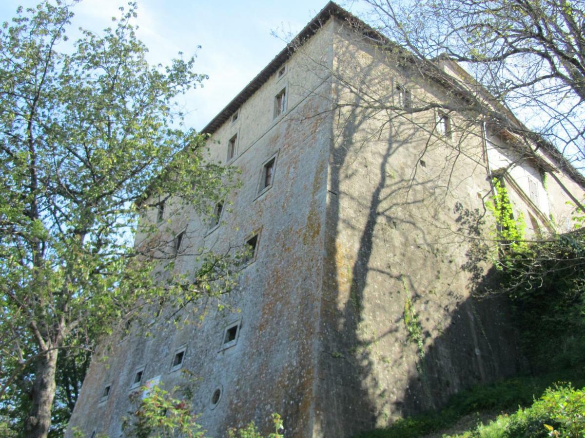 Casa Giuly Apartment Vivo d'Orcia ภายนอก รูปภาพ