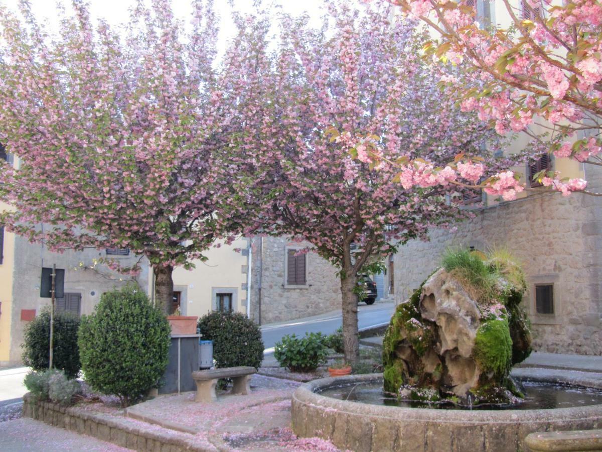 Casa Giuly Apartment Vivo d'Orcia ภายนอก รูปภาพ