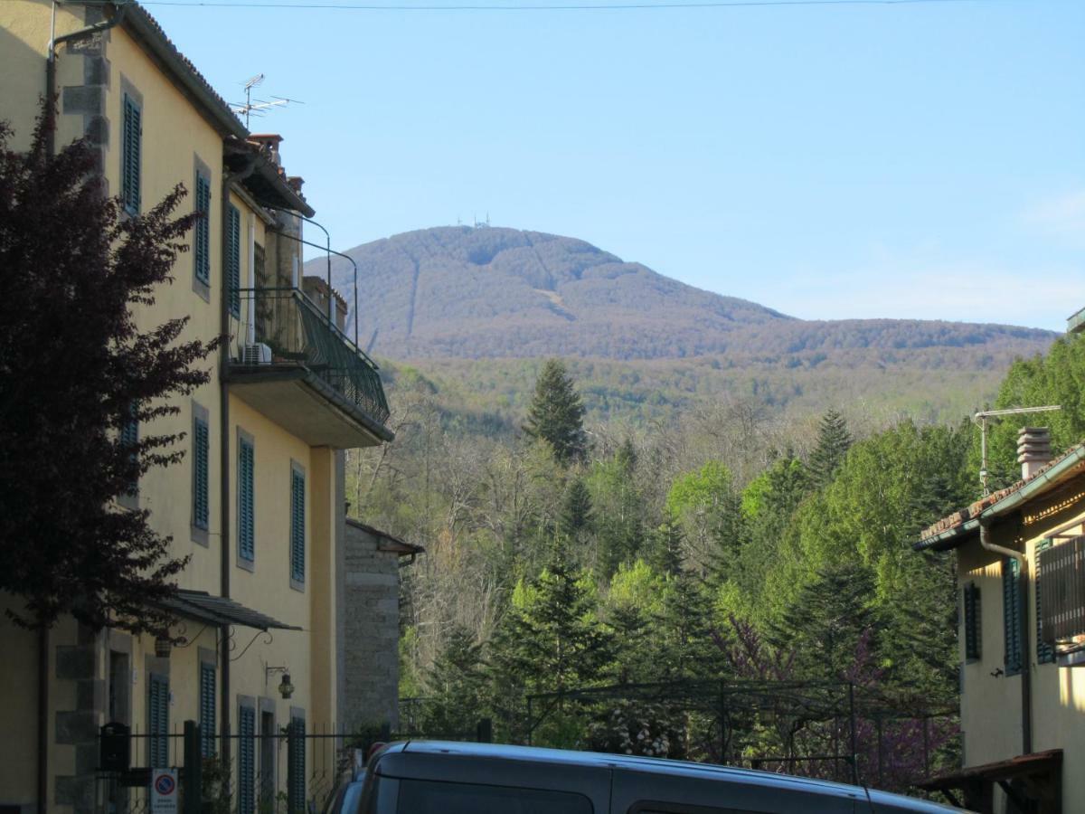 Casa Giuly Apartment Vivo d'Orcia ภายนอก รูปภาพ